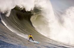 德国队引发争议！，梅西官方宣布爆冷新规再创辉煌时刻